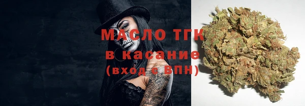стаф Новокубанск