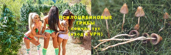 PSILOCYBIN Алексин