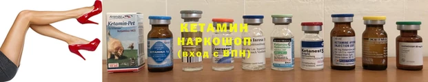 альфа пвп Новодвинск
