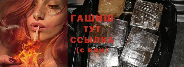 стаф Новокубанск