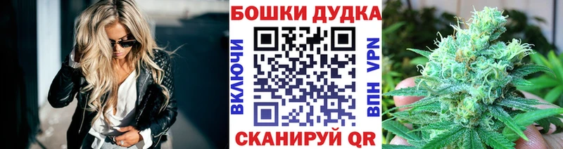 mega ONION  купить наркоту  Северская  Бошки марихуана марихуана 